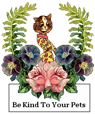 Cat sign: Be kind to your pets