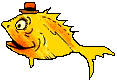 fish wears hat