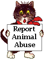 Report animal abuse