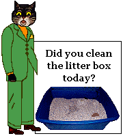  Mayor the  cat - Did you clean the litter box today?