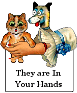 Cat and Dog in womans hands