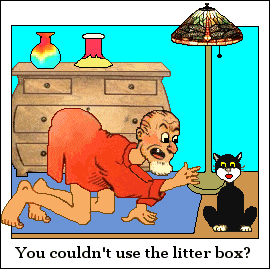 You couldn't use the litter box?