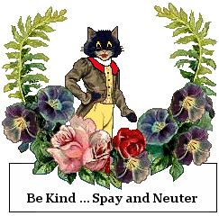 cat sign: Spay Neuter