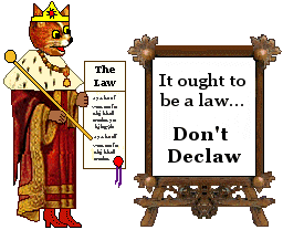 King Kat: Don't Declaw