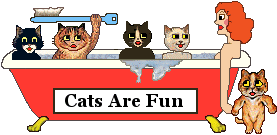 Cat Sign: cats are fun
