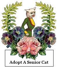 Cat sign: Adopt a Senior Cat