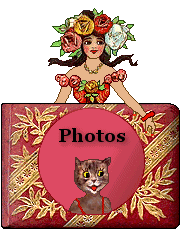 Victorian lady and cat photo album