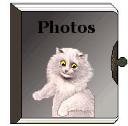 White cat on photo album