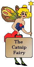 Catnip Fairy