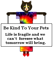 Jasmine the cat - Be kind to your pets