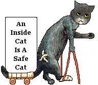 Injured cat - An Inside Cat Is A Safe Cat