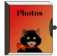 Black cat on photo album
