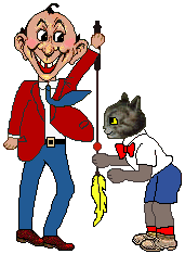 Cat and man