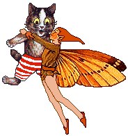 Pixie flies with Jester the cat