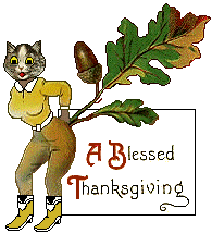 Cat : Blessed Thanksgiving