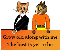 cats - Grow old along with me.