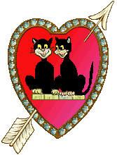 cats in Valentine's Day  heart