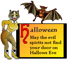 cat - bat - Halloween sign.