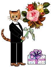 Cat - gift box - flowers
