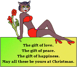 Cat: The gifts of Christmas