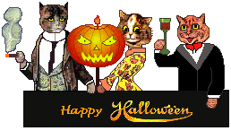 Happy Halloween - cats