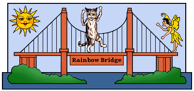 Cat crosses Rainbow Bridge