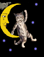 Cat on moon