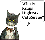 Who is Kings Highway Cat Rescue?
