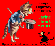 Kings Highway Cat Rescue Caring Heart Award