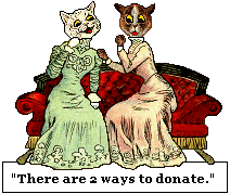 Dressed cats talk about donations.