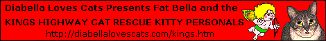 Kings Higway Cat rescue banner