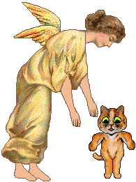 Angel and cat