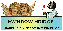 Rainbow Bridge graphics banner