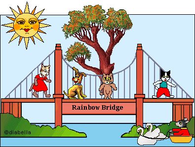 Cats-Dog crossing Rainbow Bridge