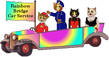 Animated cats in Rainbow Bridge car