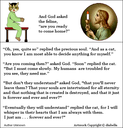 Cat talks to God