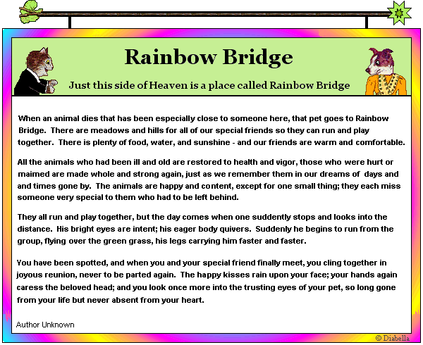 Rainbow Bridge story graphic