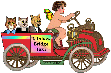 Rainbow Bridge Taxi