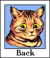 Back Button-orange cat