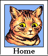 Home Button-orange cat
