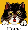 Home Button-Tuxedo cat