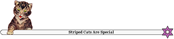 Bar-striped cat