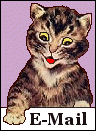 E-mail Button-striped cat