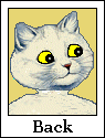 Back Button-white cat