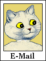 E-mail Button-white cat