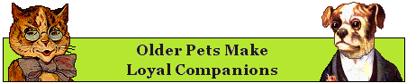 Older Pets Make Loyal Companions Bar