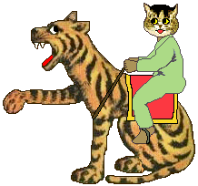 cat rides tiger